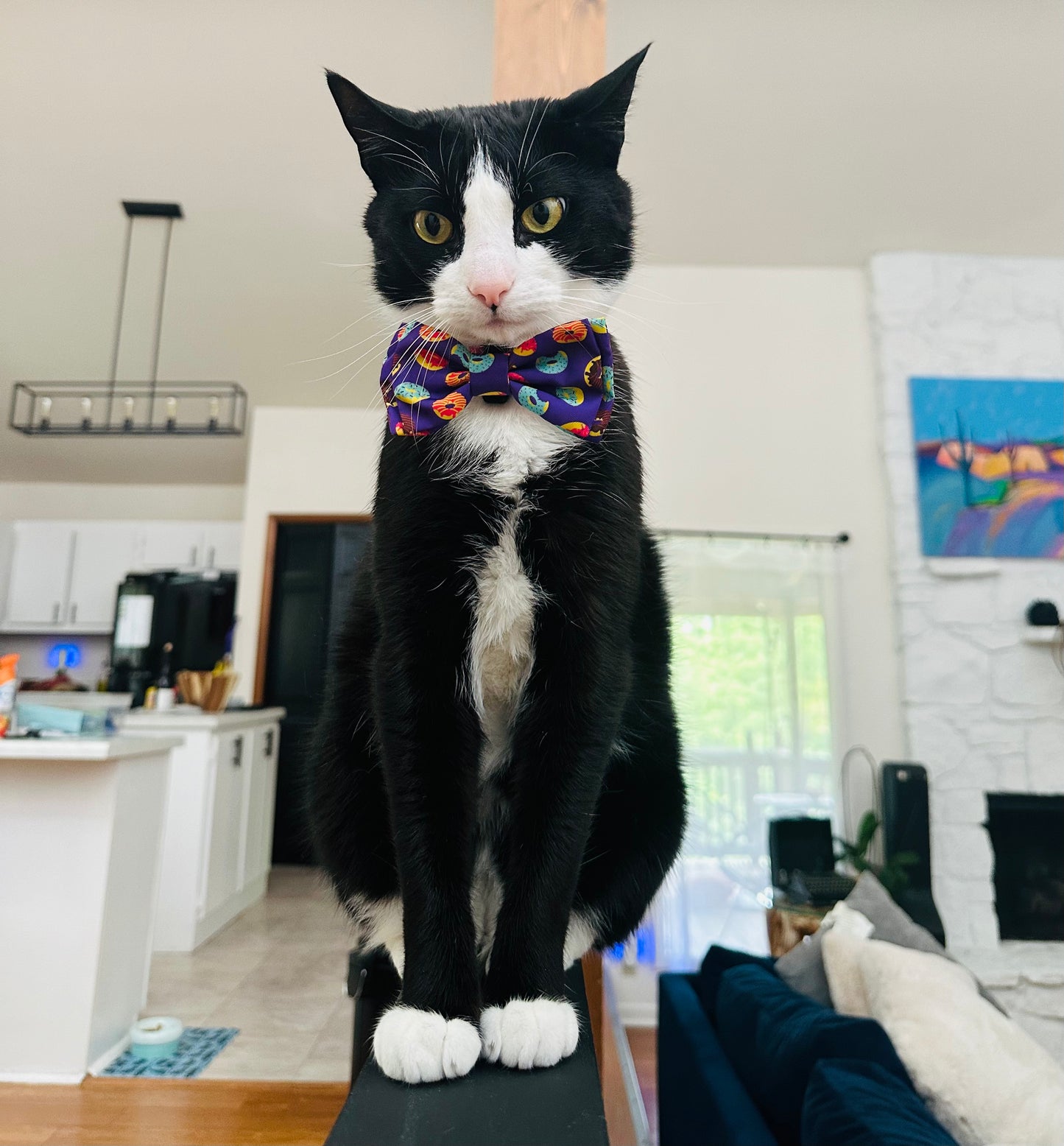 Donuts Bow Tie